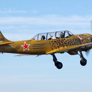 gelbe YAK 52 fliegt